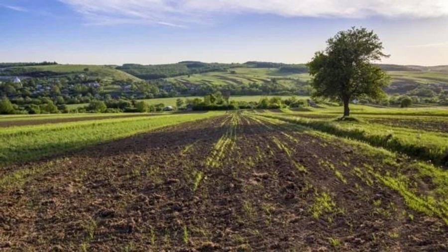 Teren agricol extravilan de 1002 mp, în Ampoița
