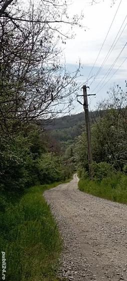 Teren în Gușoeni