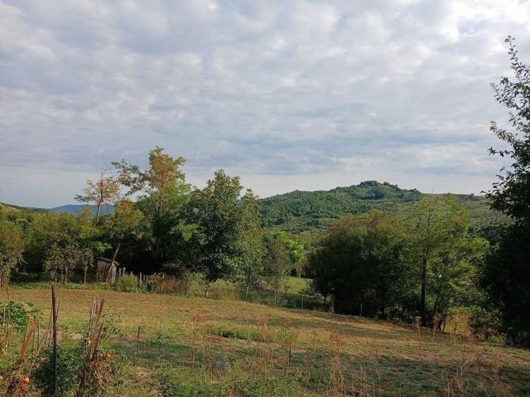 Casă cu 4 camere în Trestia