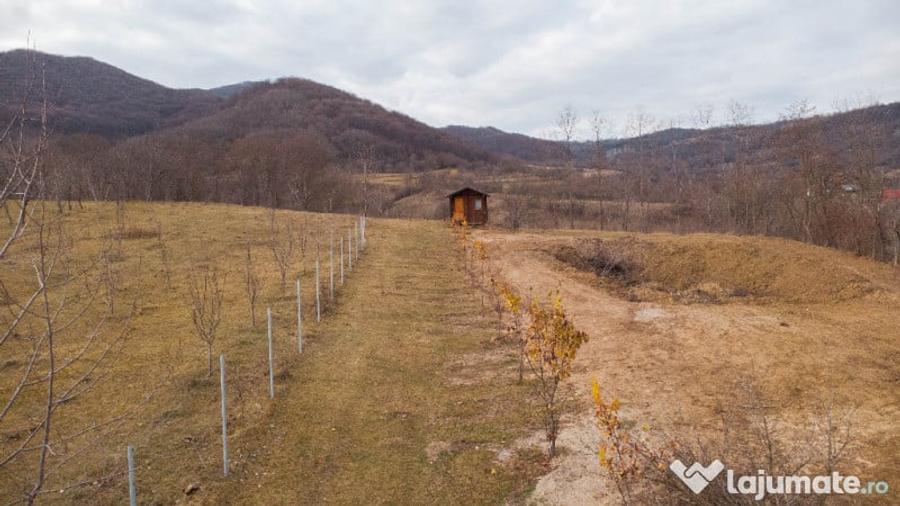 Teren cu suprafa?a de 5100mp amplasat intr-o zona superba de munte - 1