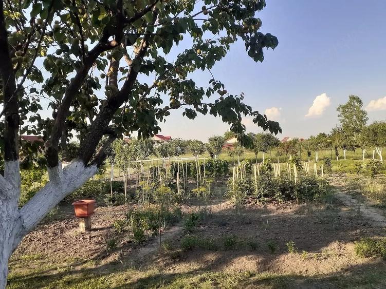 Casă cu 3 camere cu Teren 917 Mp în Iohanisfeld