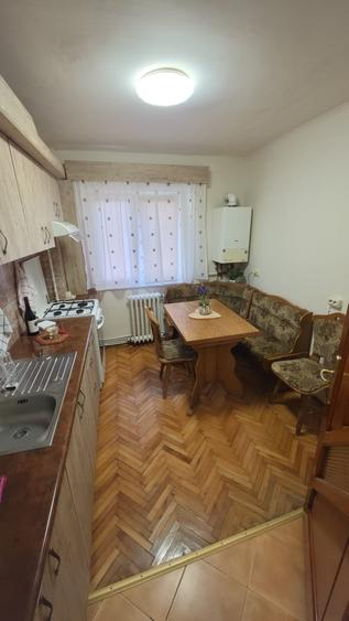 Apartament 2 camere, 50 mp, complet mobilat-utilat, Cetate, 300 Euro - 2
