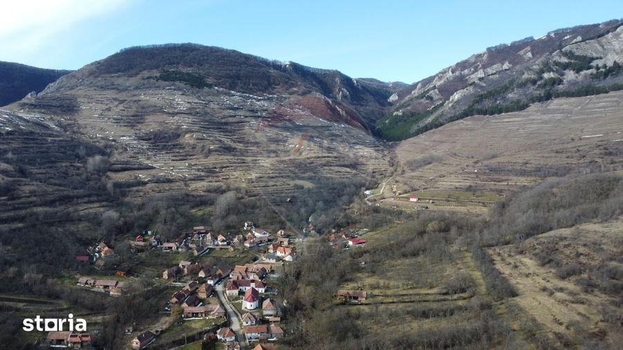 Teren de 1271 mp, în Livezile