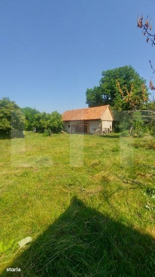 Casa + teren intravil, 3.6 ha I Zagon I Potential turistic si investit - 3