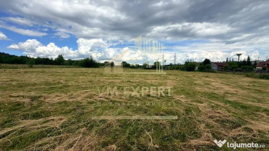 Casă cu 3 camere cu Teren 6997 Mp în Bughea de Sus