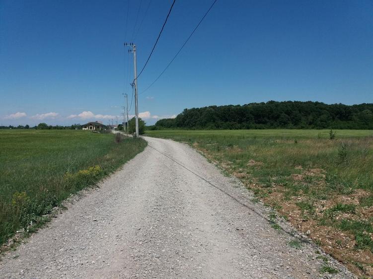 Teren Construcții intravilan de 1250 mp, în Ciofliceni
