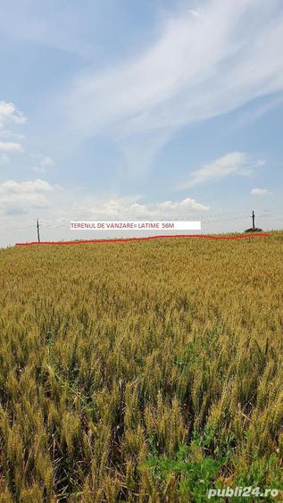 Teren de 5900 mp, în Curcani