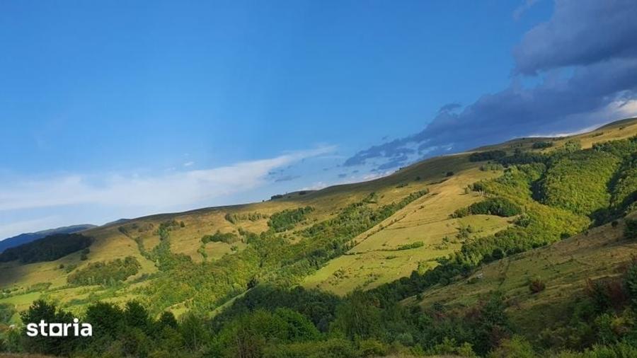 Teren de 13203 mp, în Sălciua