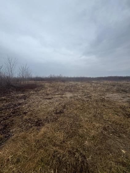 Teren Construcții extravilan de 8200 mp, în Tăuții-Măgherăuș