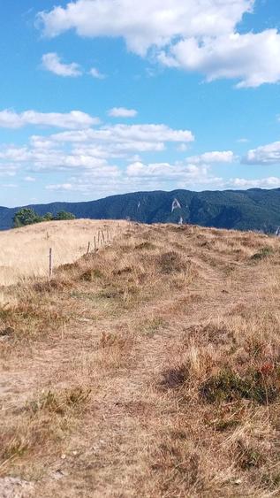 Teren de 1200 mp, în Central