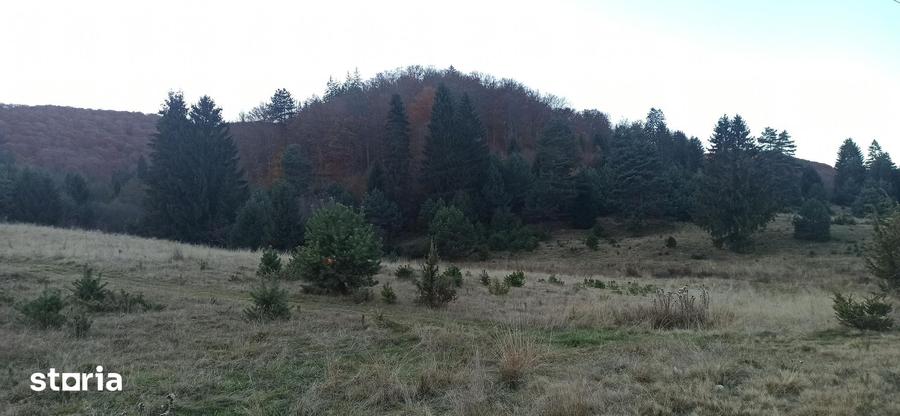 Teren de 1810 mp, în Brebina