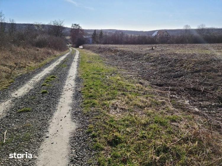 Teren de 1000 mp, în Viile Satu Mare