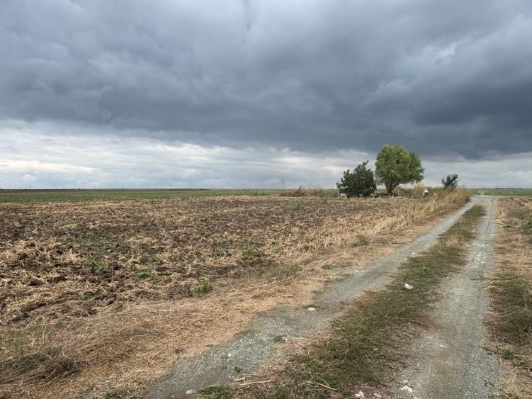 Teren Construcții intravilan de 500 mp, în Central