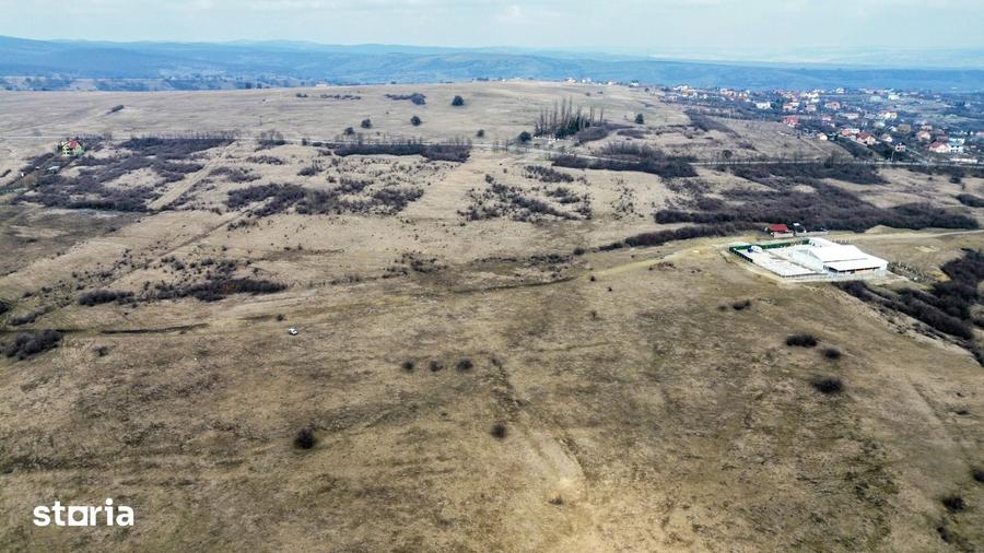 Teren de 67500 mp, în Roșia