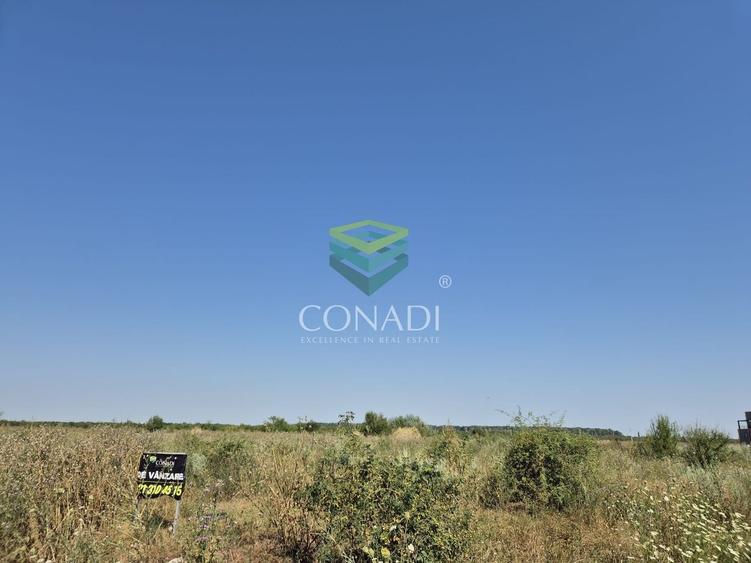 Teren Construcții intravilan de 10000 mp, în Odăi