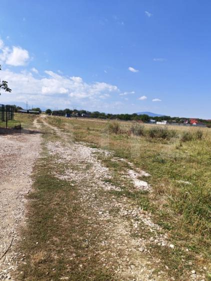 Teren intravilan de vanzare, 1.279 mp, zona Sanpetru - 2