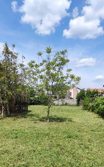 Teren Construcții intravilan de 600 mp, în Dumbrăvița