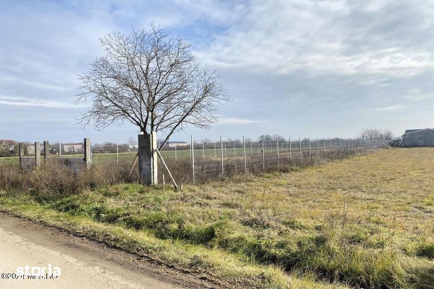 Teren de 2409 mp, în Afumați