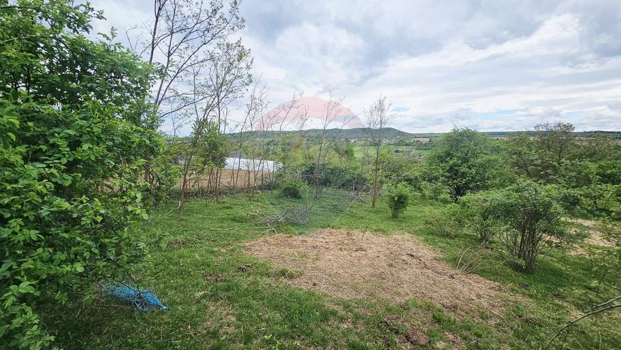 Teren Construcții intravilan de 5350 mp, în Dobreni