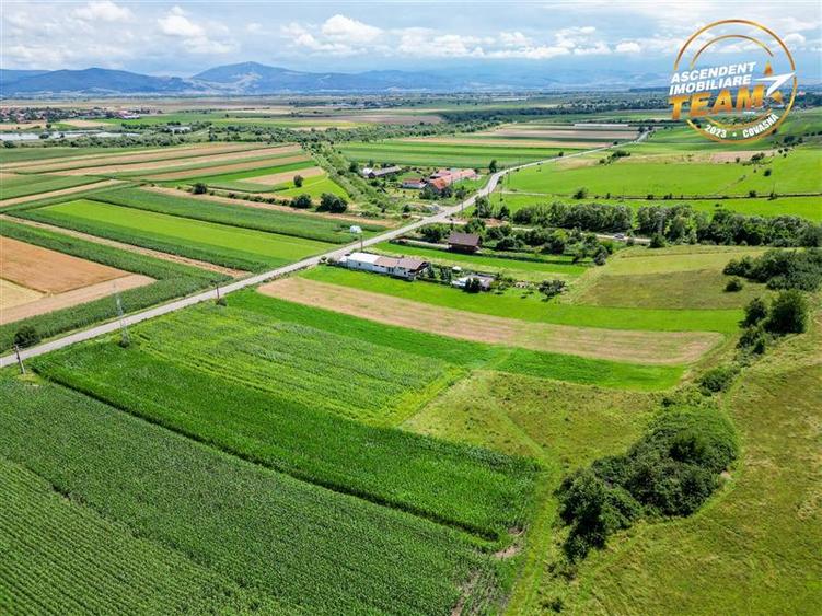 Teren Construcții extravilan de 7400 mp, în Sâncraiu