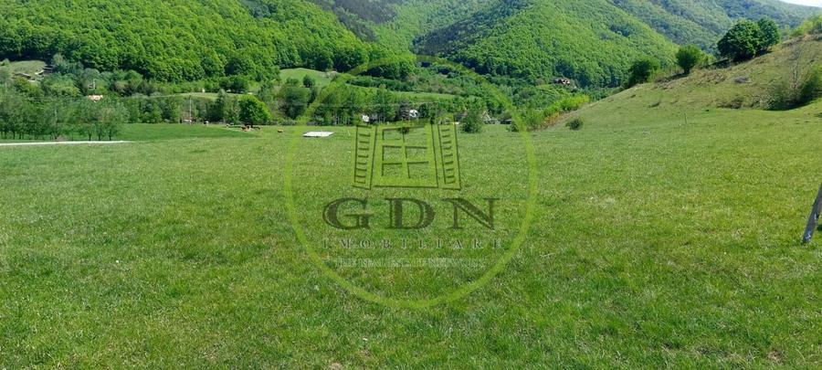 Teren agricol extravilan de 1704 mp, în Gura Râului