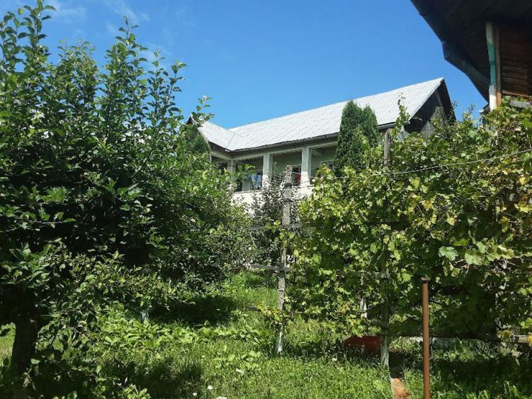 Casa si teren Galatii Bistritei, ID 18706 - 10