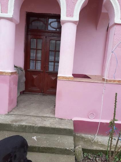 Casă cu 2 camere cu Teren 2930 Mp în Valea Stanciului