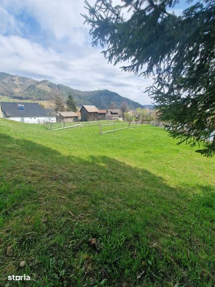 Teren de 3146 mp, în Pojorâta