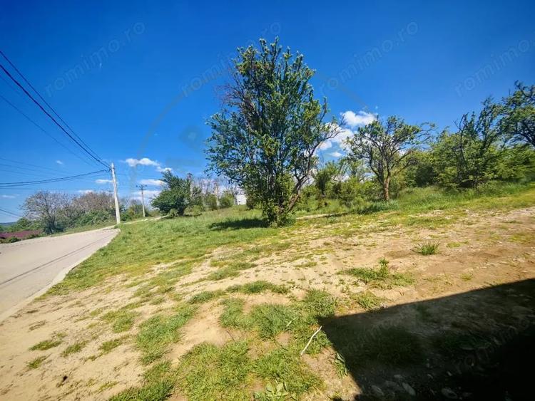 Teren de 2000 mp, în Central