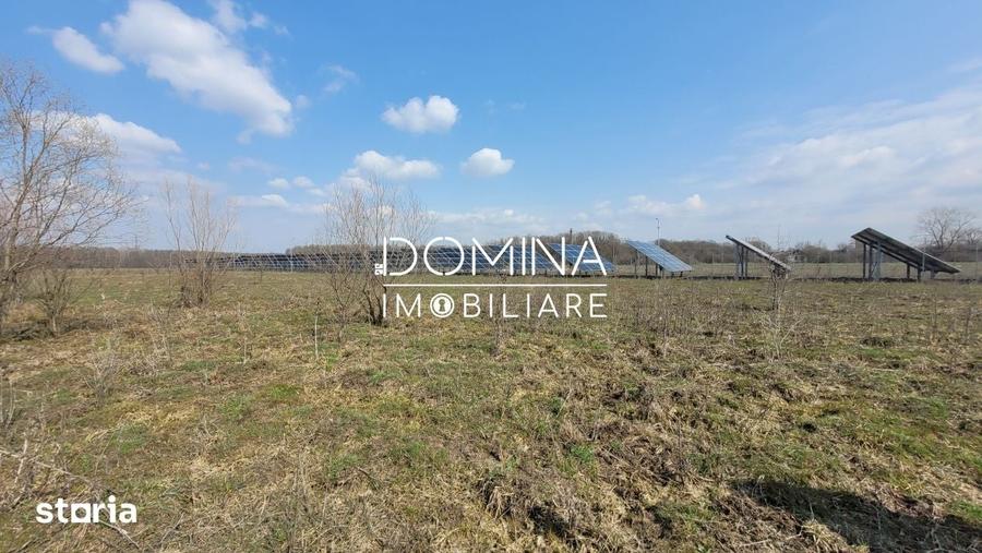 Teren de 978 mp, în Drăguțești