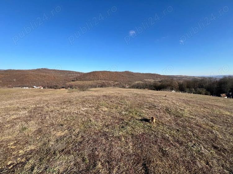 Teren de 14387 mp, în Lugașu de Sus
