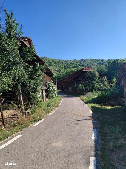 Casă cu 2 camere în Luncșoara