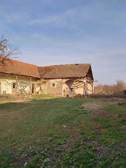Casă cu Teren 3415 Mp în Pișchia
