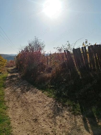 Casă cu 2 camere în Central