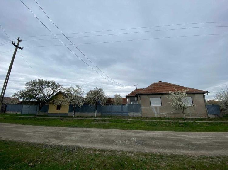 Casă cu 4 camere cu Teren 2880 Mp în Sintea Mare