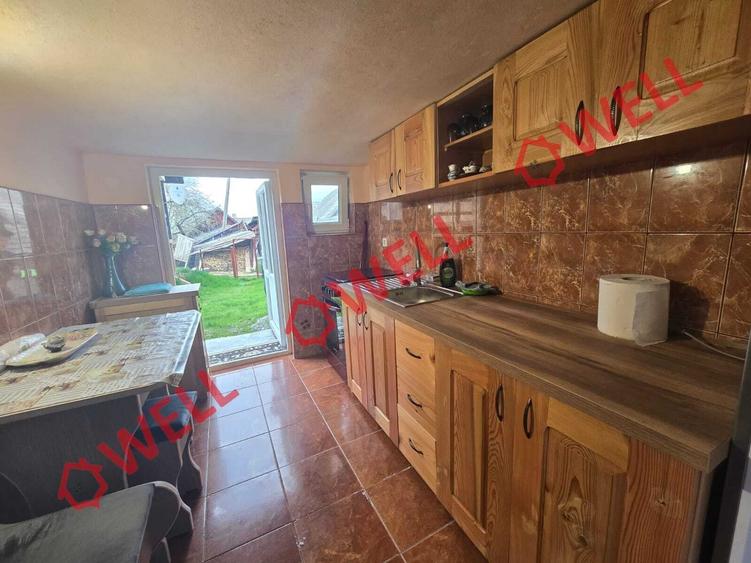 Casă cu 3 camere cu Teren 6000 Mp în Sita Buzăului