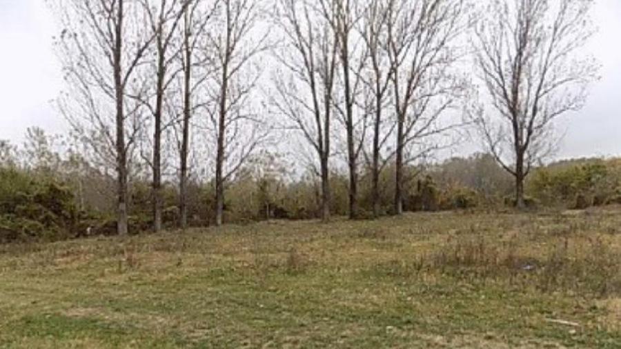 Teren agricol extravilan de 4175 mp, în Puchenii Mari