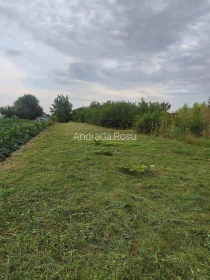 Teren de 500 mp, în Dărăști-Ilfov