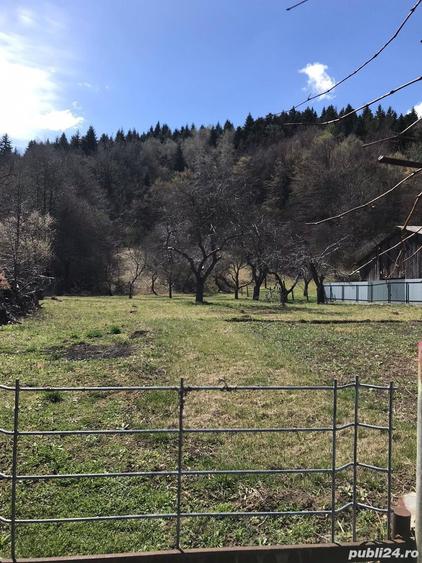 Teren de 5400 mp, în Agapia