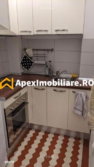 Apartament 2 camere de inchiriat Cismigiu Bucuresti | ApexImobiliare.r - 11
