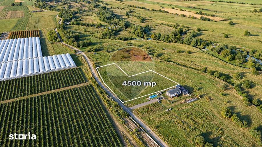 Teren de 4500 mp, în Recea