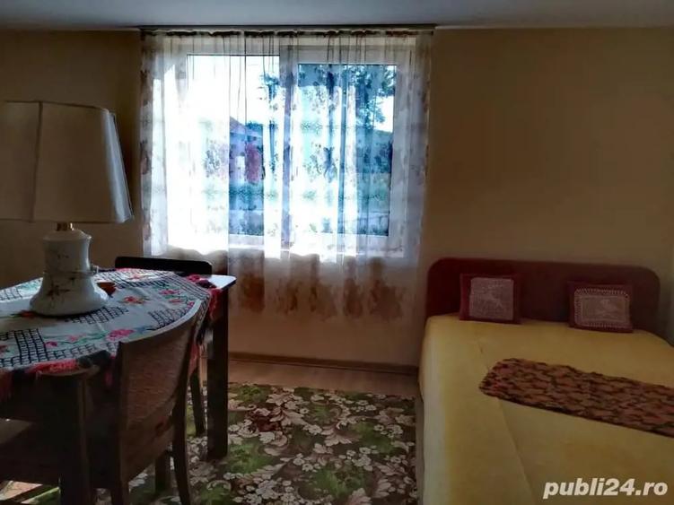 Casă cu 6 camere cu Teren 3000 Mp în Mănăștiur