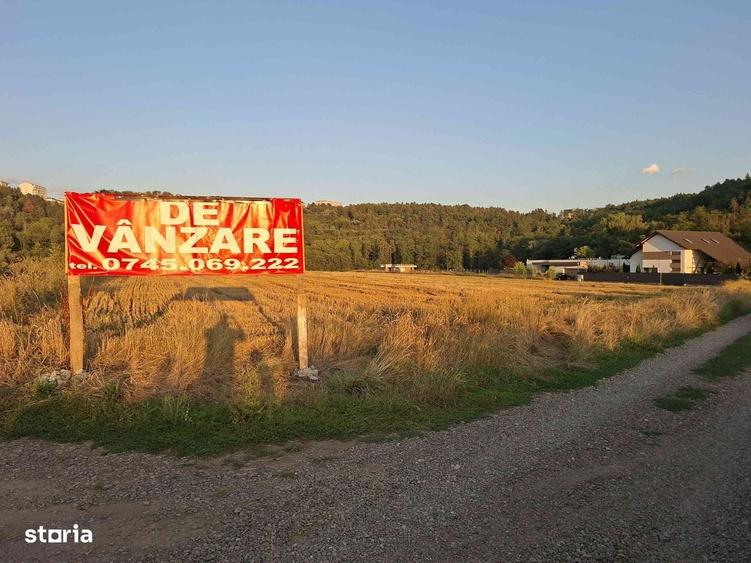 Spațiu comercial, în Șcheia