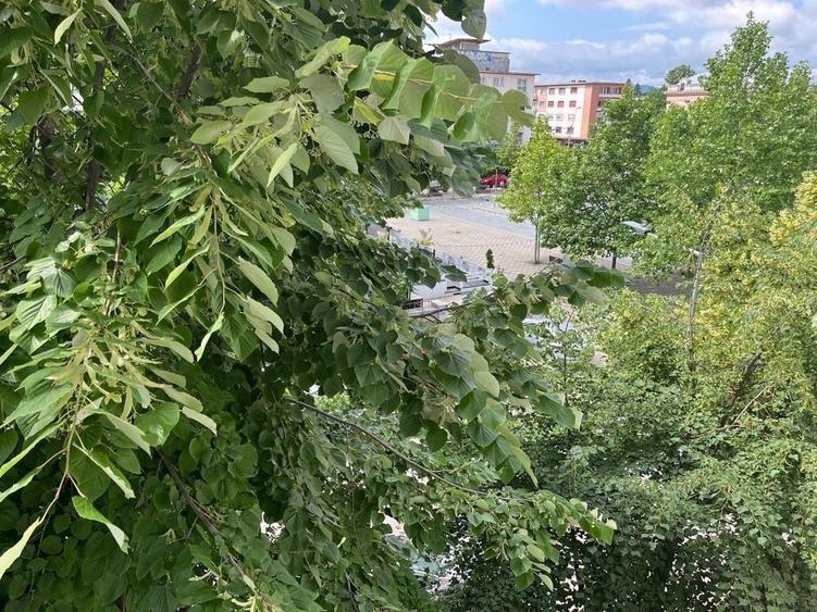Apartament cu 2 camere semidecomandat în Ultracentral