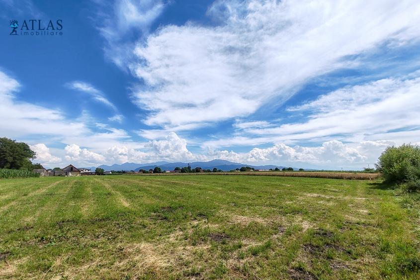 Teren Construcții intravilan de 500 mp, în Stupini