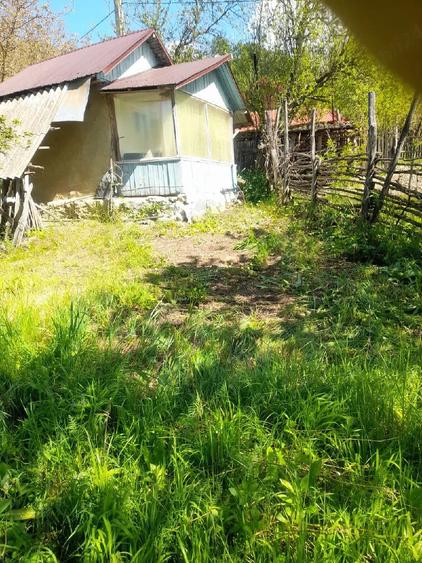 Casă cu Teren 1800 Mp în Anini