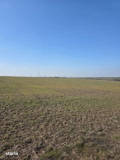 Teren de 4750 mp, în Mischii
