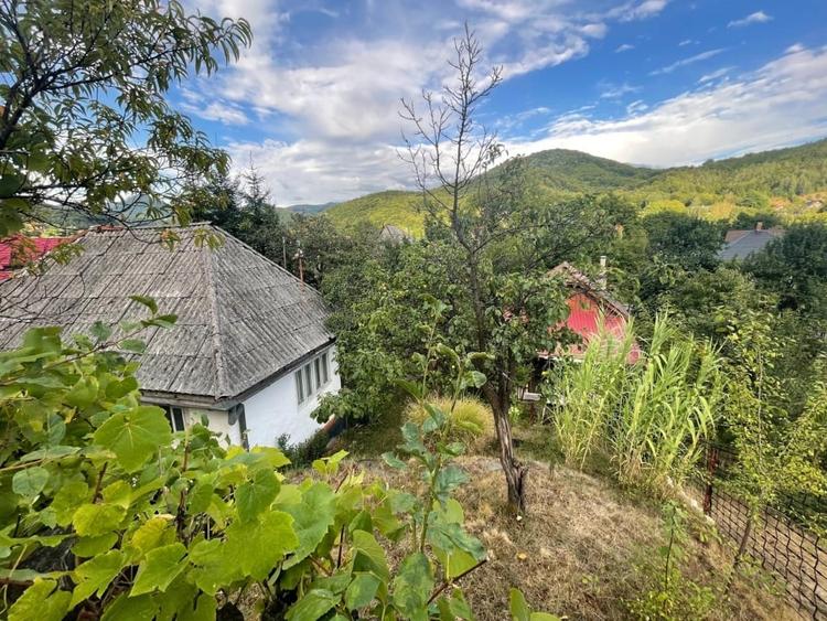 Casă individuală cu 2 camere cu Teren 1000 Mp în Firiza