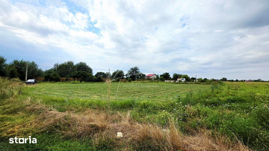 TEREN INTRAVILAN DE VANZARE POZI?IONARE EXCELENTA LANGA PADURE - 11