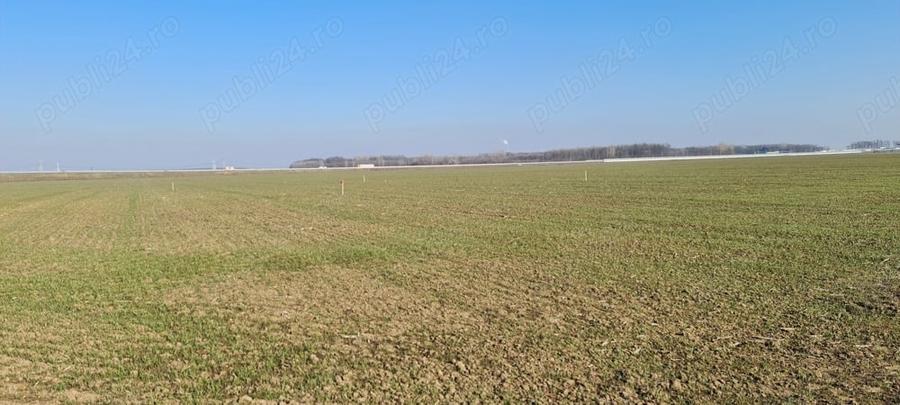 Teren de 941 mp, în 1 Decembrie